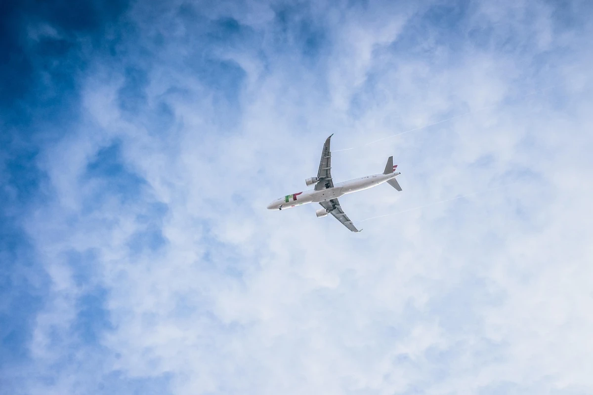 Cani aereo