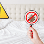 Come eliminare acari e batteri dal letto: i metodi più efficaci per una camera davvero igienizzata