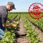 Bonus agricoltura 2025: i requisiti che servono per ricevere i 2.500 euro”