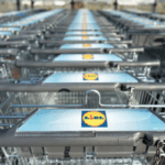 Offerte verdi da Lidl: la pianta tropicale che arreda casa e i bulbi che sorprenderanno il tuo giardino