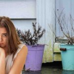 Il rimedio green dell’anno? Fertilizzante con bucce di banana e aceto fatto in casa
