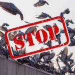 L’aceto è il miglior repellente naturale del 2025? Ecco come funziona davvero
